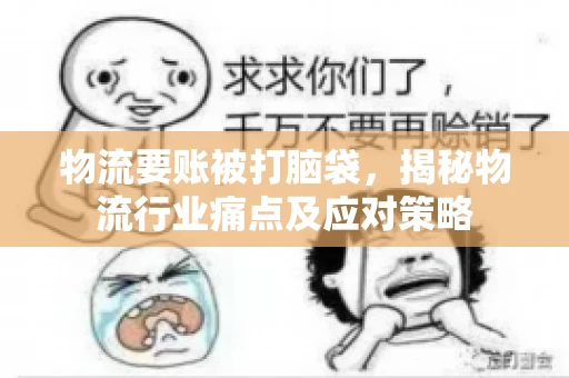 物流要账被打脑袋，揭秘物流行业痛点及应对策略