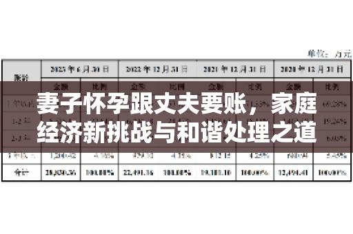 妻子怀孕跟丈夫要账，家庭经济新挑战与和谐处理之道