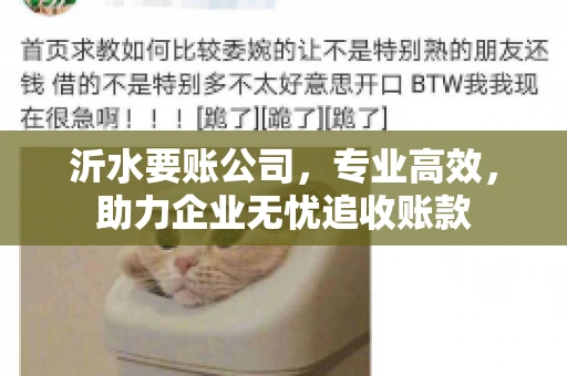 沂水要账公司，专业高效，助力企业无忧追收账款