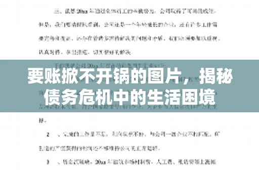 要账掀不开锅的图片，揭秘债务危机中的生活困境