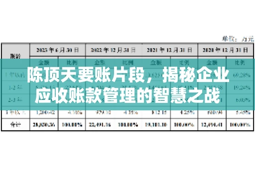 陈顶天要账片段，揭秘企业应收账款管理的智慧之战