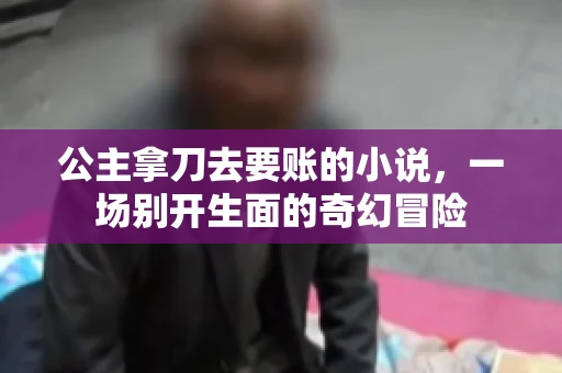 公主拿刀去要账的小说，一场别开生面的奇幻冒险