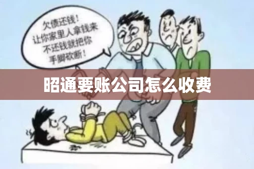 昭通要账公司怎么收费
