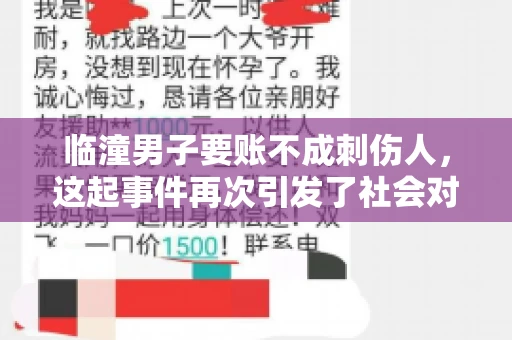 临潼男子要账不成刺伤人，这起事件再次引发了社会对讨债行为的关注。在这个故事中，我们不仅要了解事件的经过，还要思考如何避免类似悲剧的发生。