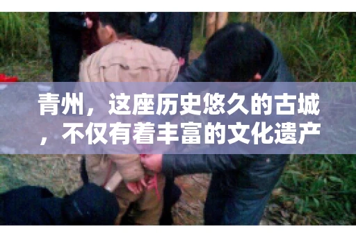 青州，这座历史悠久的古城，不仅有着丰富的文化遗产，还有着繁忙的经济活动。在商业往来中，难免会遇到一些欠款问题，这时候，找一家专业的要账公司就显得尤为重要。那么，青州有帮人要账的吗？答案是肯定的。下面，我就来为大家详细介绍一下青州地区的要账服务。