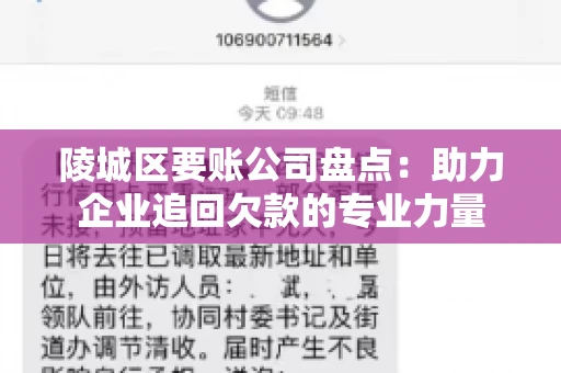 陵城区要账公司盘点：助力企业追回欠款的专业力量