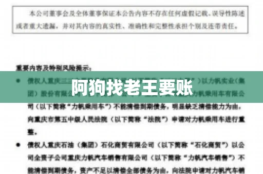 阿狗找老王要账