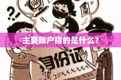 主要账户指的是什么？