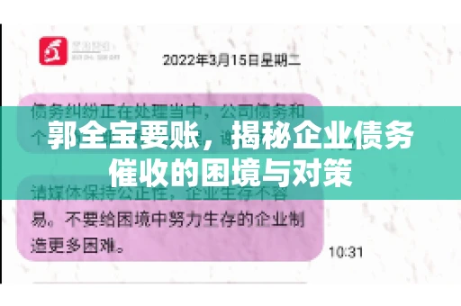 郭全宝要账，揭秘企业债务催收的困境与对策