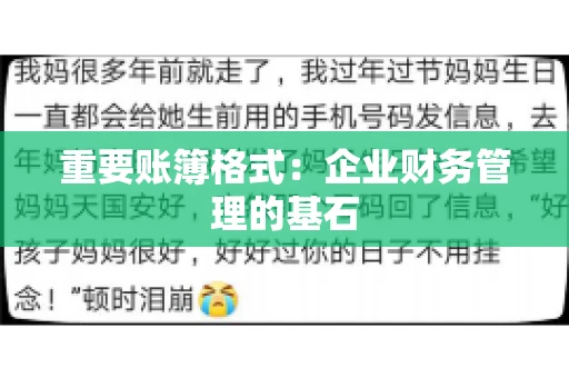 重要账簿格式：企业财务管理的基石