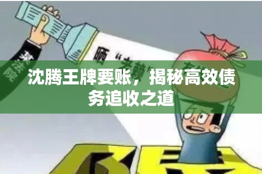沈腾王牌要账，揭秘高效债务追收之道