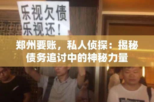 郑州要账，私人侦探：揭秘债务追讨中的神秘力量