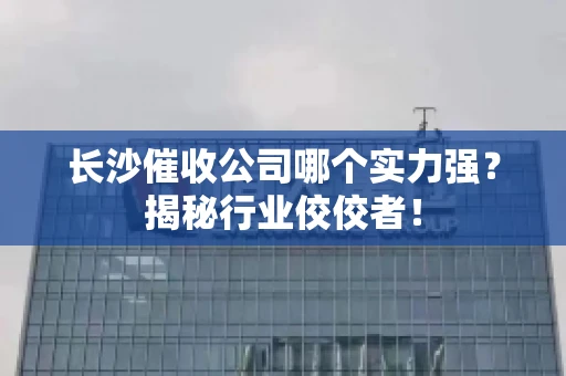 长沙催收公司哪个实力强？揭秘行业佼佼者！