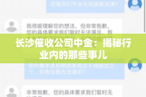 长沙催收公司中金：揭秘行业内的那些事儿